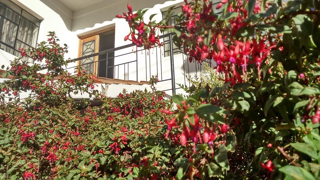 Posada Junco Y Capuli Huancayo Exteriér fotografie
